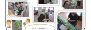 チャレンジ変身通信vol.24のサムネイル