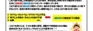 チャレンジ変身通信vol.31のサムネイル